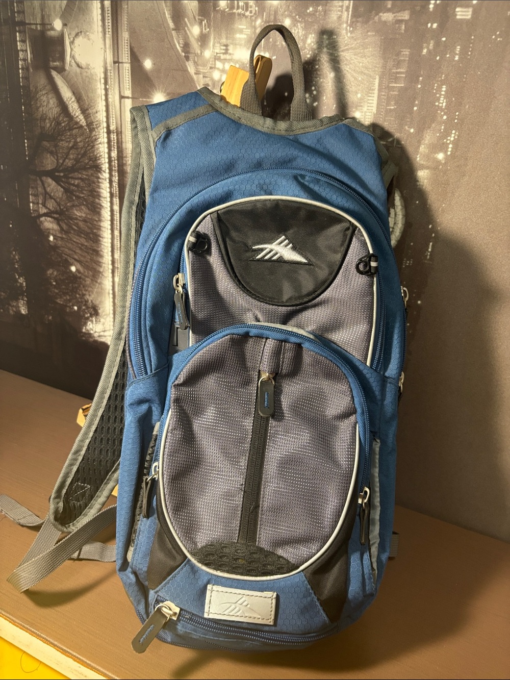 Blue Gray Hydration Backpack - high sierra air flow cooled back